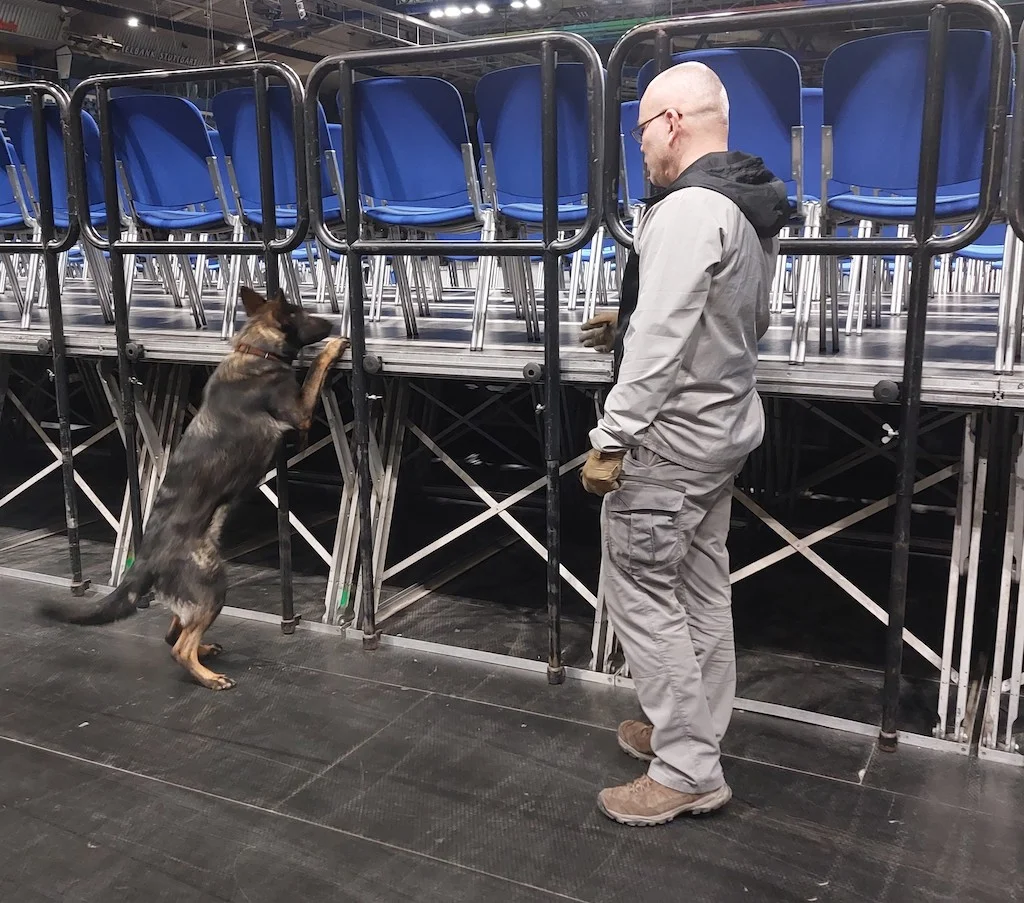 Mann mit Hund von MTSC-Global 